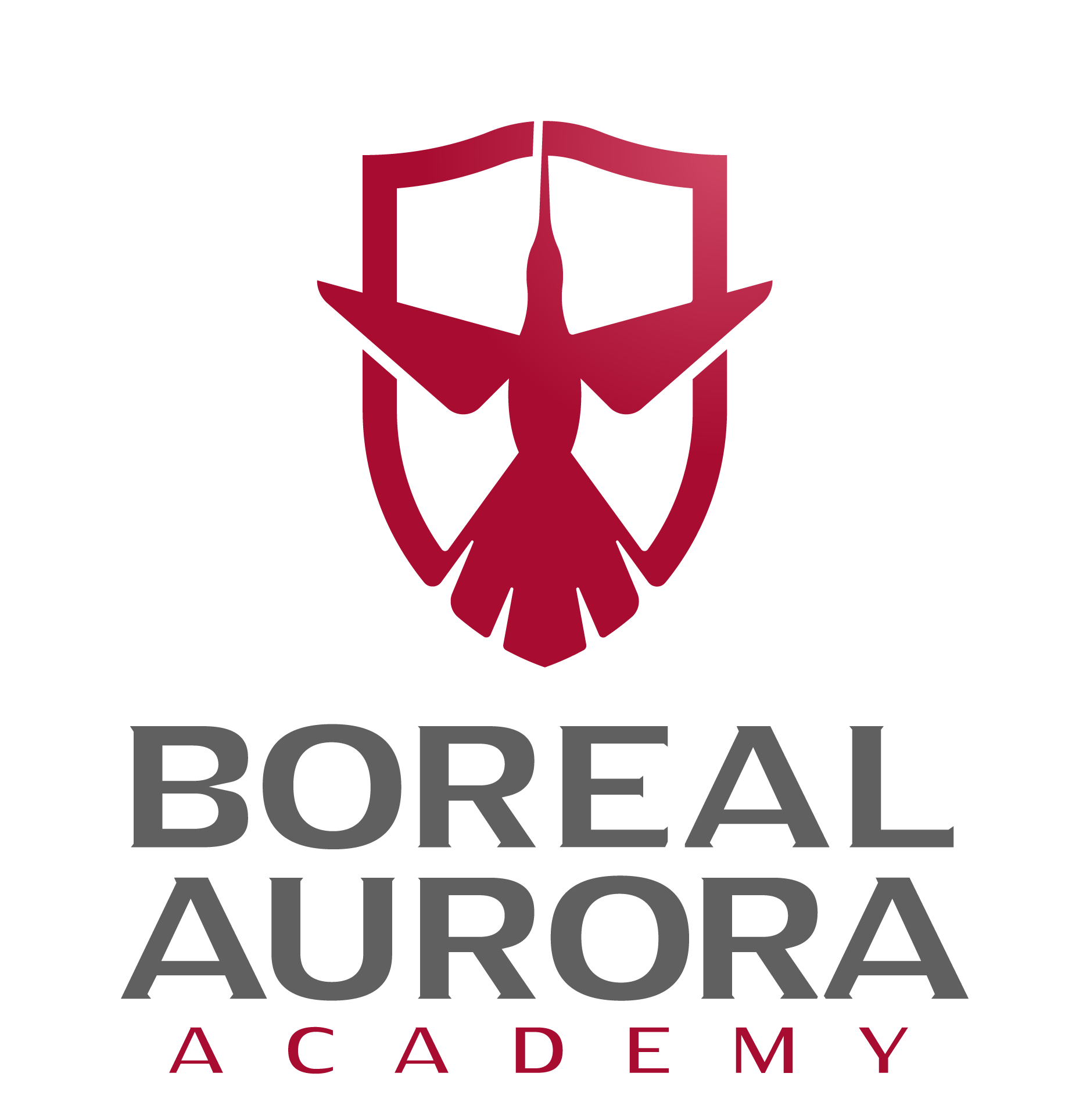Boreal Aurora Academy Logo